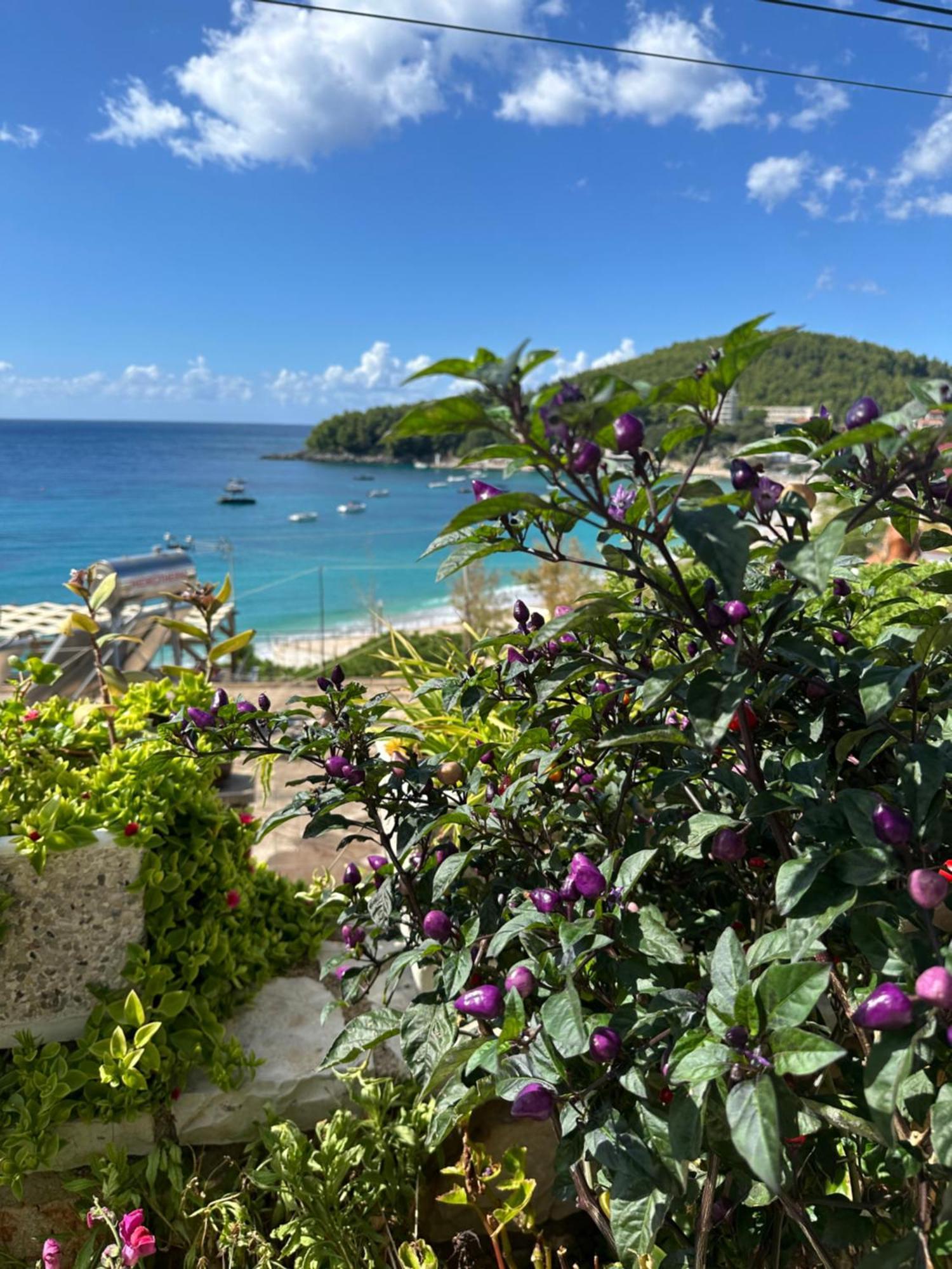 Fane'S Apartments Himare Ngoại thất bức ảnh